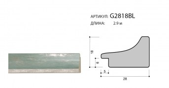 G2818BL