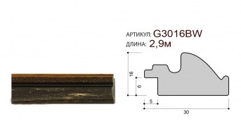 G3016BW